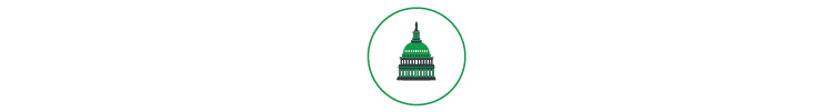 Icon representing the Capitol Building in the United States.